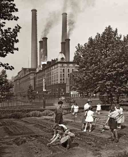 June, 1944: A school’s wartime victory garden, on First Avenue in New York City, confronted the national food production crisis.